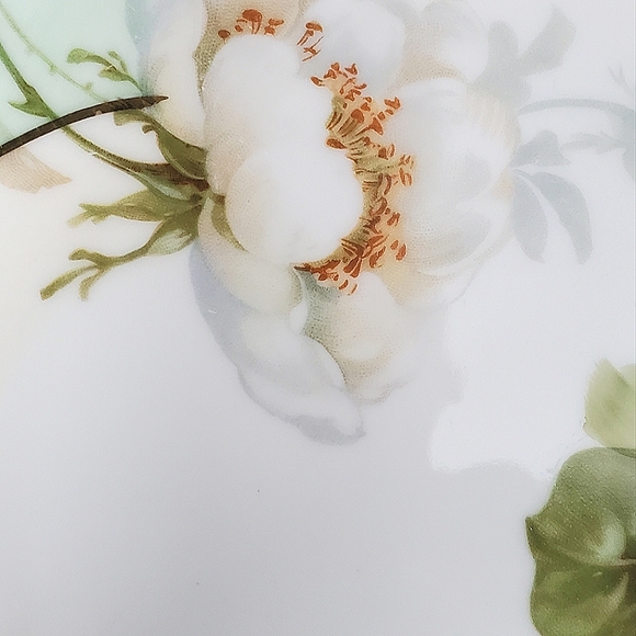 Royal Rudolstadt Prussia Handpainted Plate with White Flowers - Picture 7 of 10